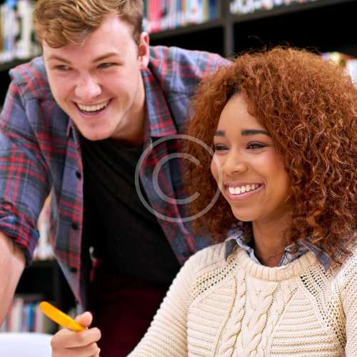 MSc Strategic IT Management